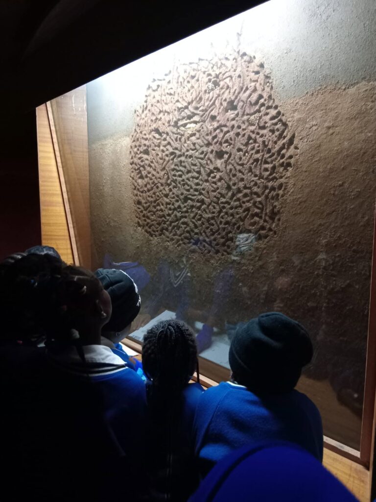 blue kids looking at ant thing