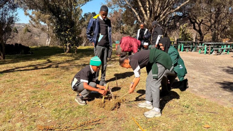 more kids building stick structure